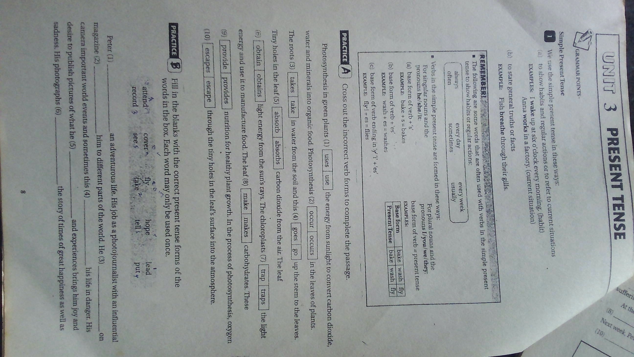 Present Simple Module ELA 11011: Present Simple i | VLE::SEUSL